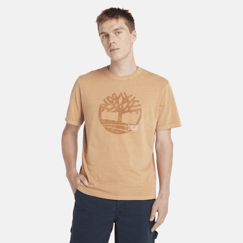 Stückgefärbtes Herren-T-Shirt mit Logo-Grafik in Dunkelgelb, Mann, , Größe: XXL - Timberland - Modalova