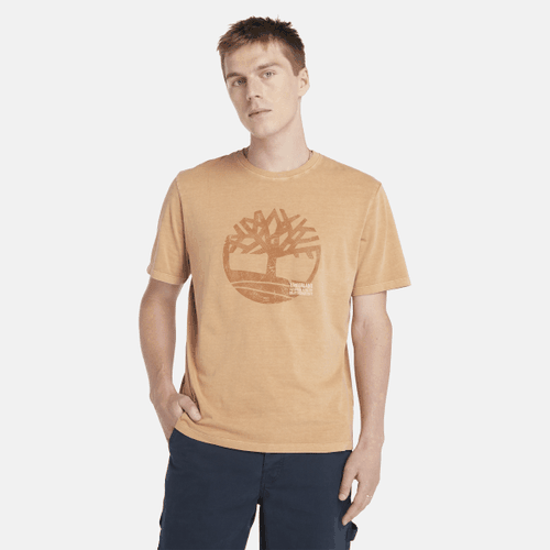T-shirt Tinta in Capo con Logo Grafico da Uomo in scuro, Uomo, , Taglia: 3XL - Timberland - Modalova