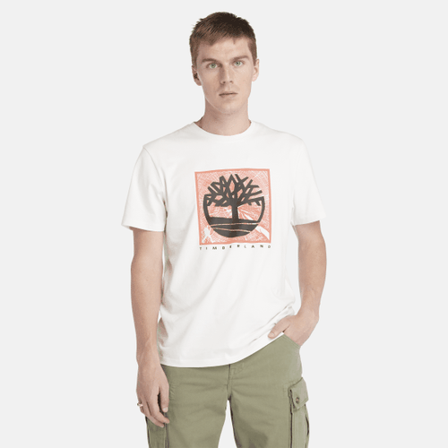 T-Shirt mit Grafik vorne für Herren in , Mann, , Größe: 3XL - Timberland - Modalova