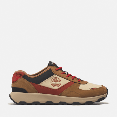 Sneaker Bassa Stringata Winsor Park da Uomo in chiaro, Uomo, , Taglia: 41.5 - Timberland - Modalova