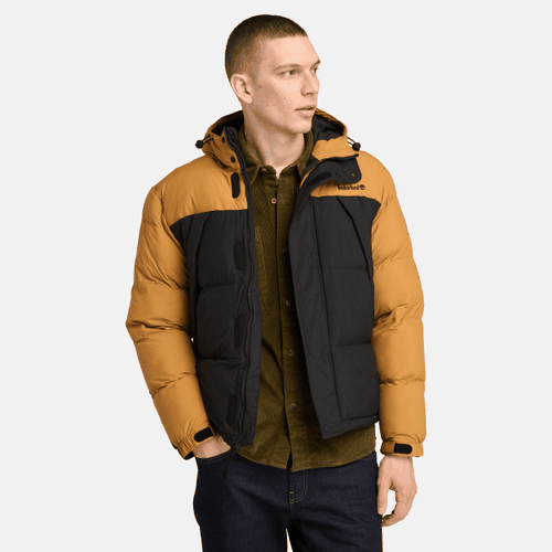 Strapazierfähige, wasserabweisende Steppjacke für Herren in Gelb, Mann, , Größe: XL - Timberland - Modalova