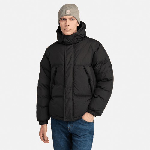 Dauerhaft wasserabweisende Howker Steppjacke für Herren in , Mann, , Größe: XL - Timberland - Modalova