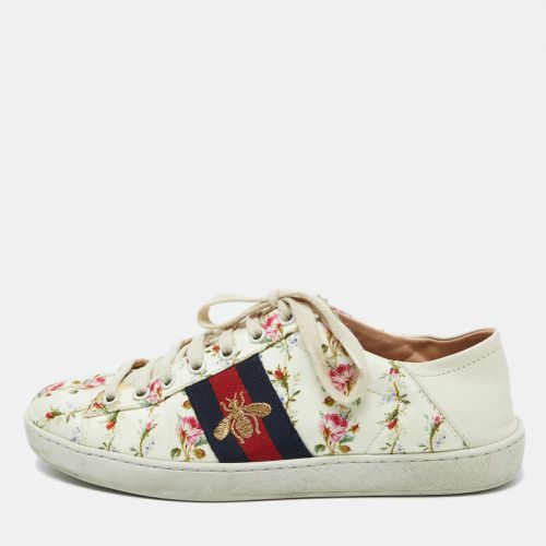 Canvas and Leather Web Bee Ace Low Top Sneakers Size 36.5 - Gucci - Modalova