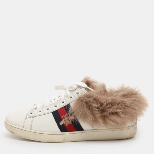 Leather Fur Lined Ace Low Top Sneakers Size 38 - Gucci - Modalova