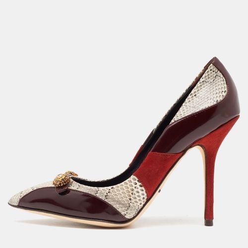 Tricolor Suede and Watersnake Pointed Toe Pumps Size 36 - Dolce & Gabbana - Modalova