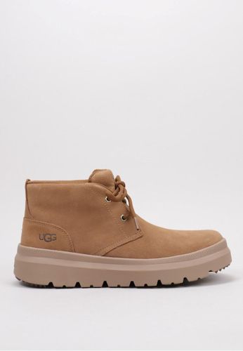 UGG - Burleigh Chukka 40 Camel - UGG - Modalova