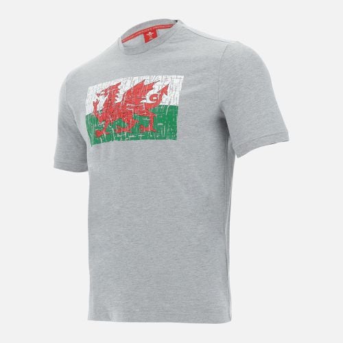 Welsh Rugby 2020/21 fans collection melange grey t-shirt - Macron - Modalova