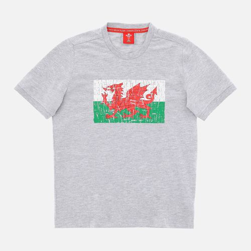 Welsh Rugby 2020/21 fans collection melange grey children's t-shirt - Macron - Modalova