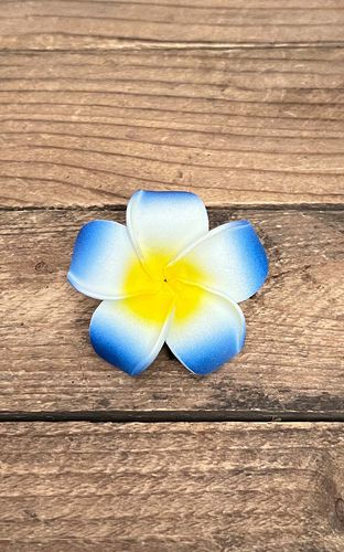 Haarspange Plumeria Hawaii Blüte, blau - Rockabilly Rules (DACH) - Modalova