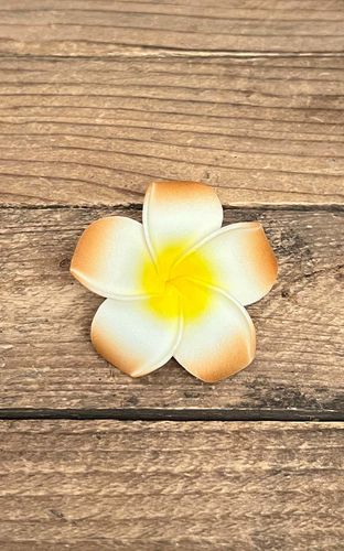 Haarspange Plumeria Hawaii Blüte, braun - Rockabilly Rules (DACH) - Modalova
