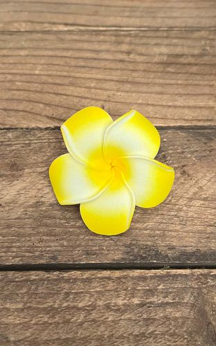Haarspange Plumeria Hawaii Blüte, gelb - Rockabilly Rules (DACH) - Modalova