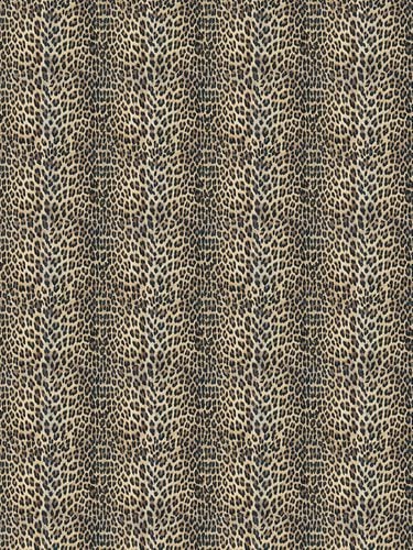 Carta Da Parati Tibetan Leopard - ARJUMAND'S WORLD - Modalova