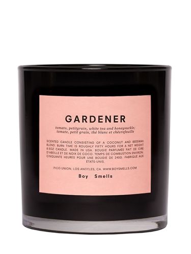 Candela Gardener 240gr - BOY SMELLS - Modalova