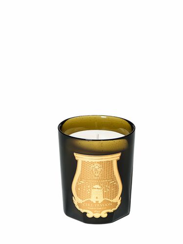 Candela Gabriel 270gr - TRUDON - Modalova