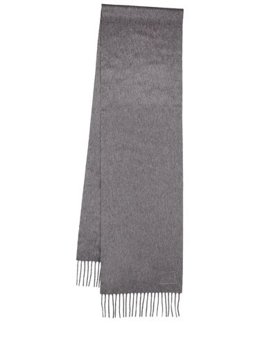 Dalia Cashmere Scarf - MAX MARA - Modalova