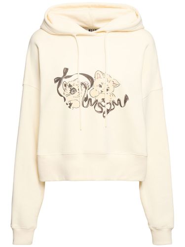 Sudadera De Algodón Jersey - MSGM - Modalova