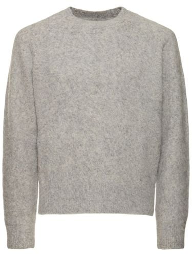 Shaggy Dog Unisex Ribbed Sweater - DUNST - Modalova