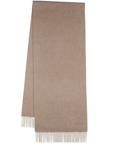 Oasi Cashmere Scarf - ZEGNA - Modalova