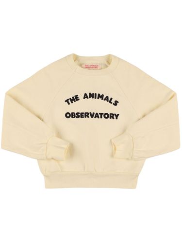 Sudadera De Algodón Estampada - THE ANIMALS OBSERVATORY - Modalova