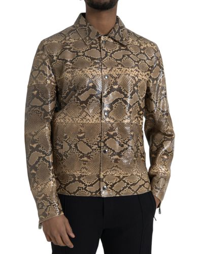 Exotic Leather Biker Blouson Jacket Python Skin Clothing - Men - Dolce & Gabbana - Modalova