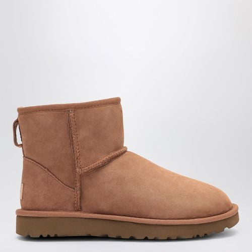 Kastanienfarbener Stiefel Classic Mini II - UGG - Modalova