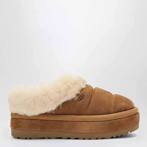 Slide W Tazzlita castagna in suede - UGG - Modalova