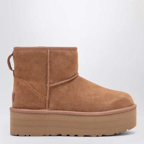 Kastanienfarbener Stiefel Classic Mini - UGG - Modalova