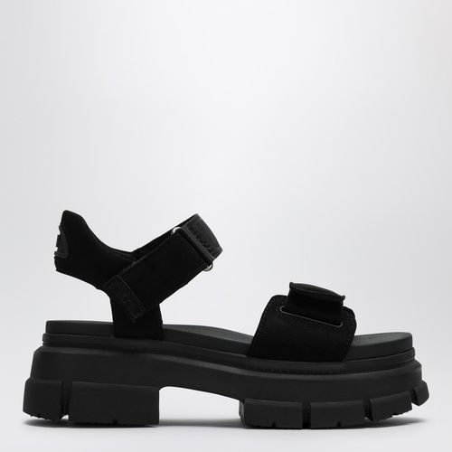 Ashton Ankle sandals black - UGG - Modalova