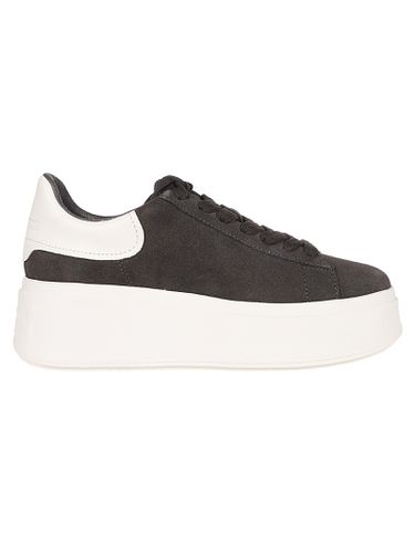 Ash Moby Sneakers - Ash - Modalova