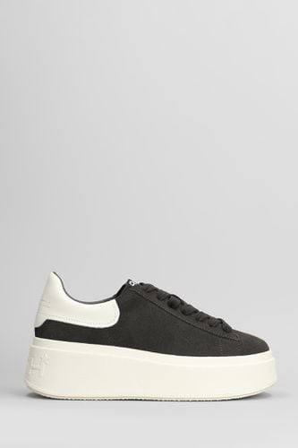 Ash Moby Sneakers In Black Suede - Ash - Modalova