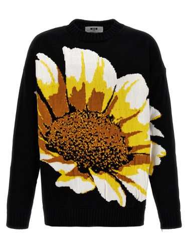 MSGM margherita Sweater - MSGM - Modalova