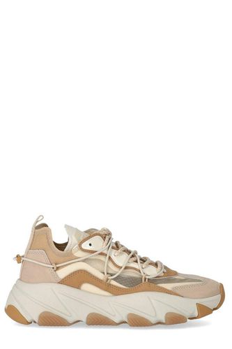 Extra Bis Gardenia Almond Toe Sneaker - Ash - Modalova