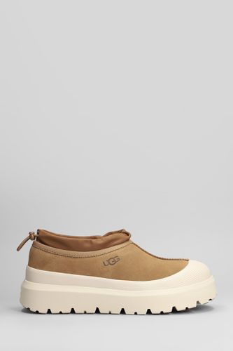 Tasman Weather Hybri Sneakers In Leather Color Suede - UGG - Modalova