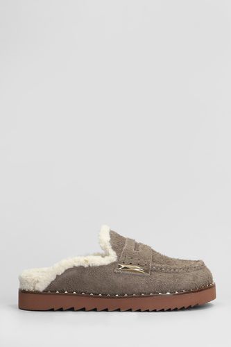 Genda Slipper-mule In Suede - Ash - Modalova