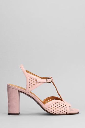 Bessy Sandals In - Leather - Chie Mihara - Modalova