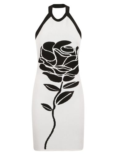 Embroidered Halterneck Slim Dress - Balmain - Modalova