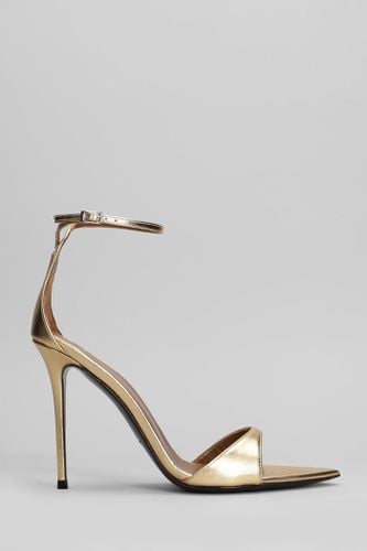 Intriigo Strap 105 Sandals In Leather - Giuseppe Zanotti - Modalova