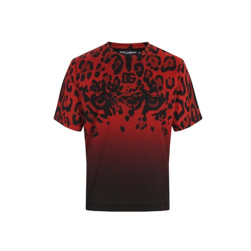 Dolce & Gabbana Animalier T-shirt - Dolce & Gabbana - Modalova