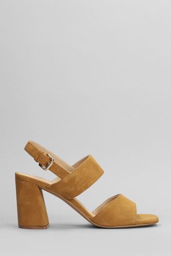 Bucaneve Sandals In Leather Color Suede - Roberto Festa - Modalova