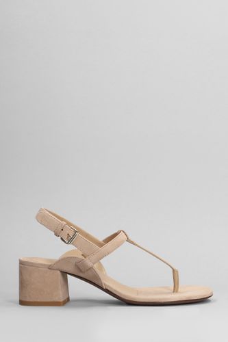 Relac Sandals In Beige Suede - Relac - Modalova