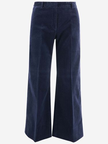 Stretch Cotton Velvet Flared Pants - QL2 - Modalova