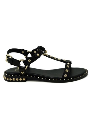 Ash Black/gold Leather Sandal - Ash - Modalova