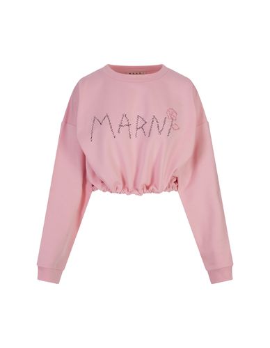 Crop Sweatshirt With Logo - Marni - Modalova