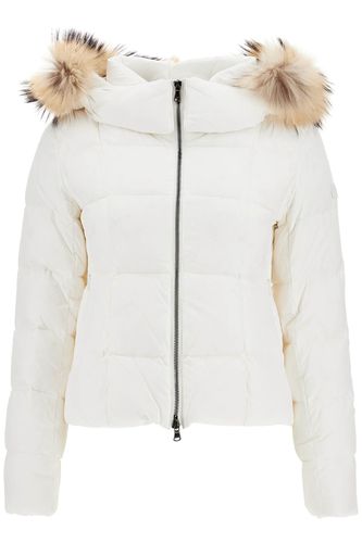 TATRAS Short Down Jacket By Avec - TATRAS - Modalova