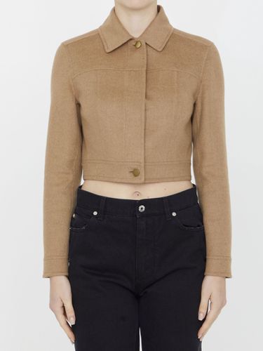 Max Mara Foglia Jacket - Max Mara - Modalova