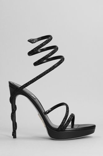 Margot Sandals In Leather - René Caovilla - Modalova