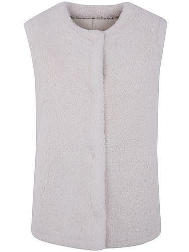 Gilet 60cm Agneau Merinos Frise - Yves Salomon - Modalova