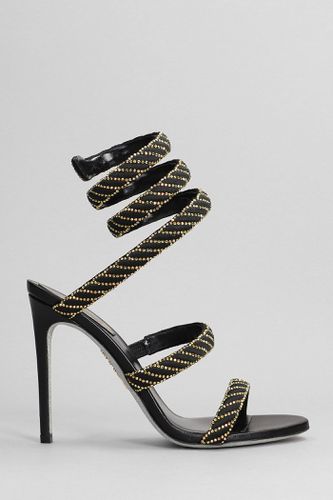 Black And Gold Cleo Crystal Sandal - René Caovilla - Modalova