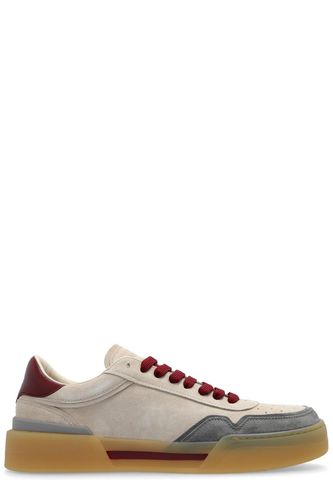 New Roma Low-top Sneakers - Dolce & Gabbana - Modalova