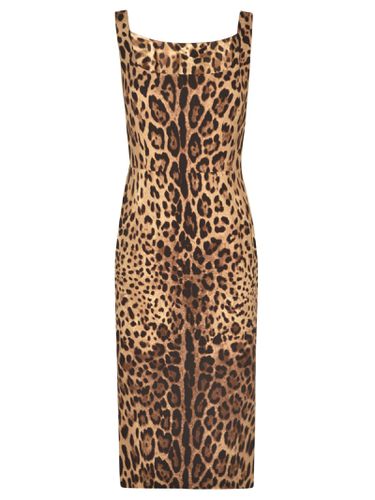 Animal Print Back Zip Sleeveless Dress - Dolce & Gabbana - Modalova